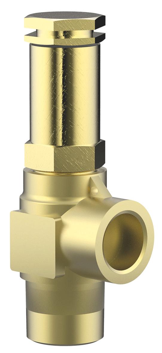 Lorch/Protect-air Safety Val 2042-2945 6.0 BAR 1/4" BSPM PRESSURE SAFETY VALVE 